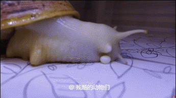 345_194gif 动态图 动图