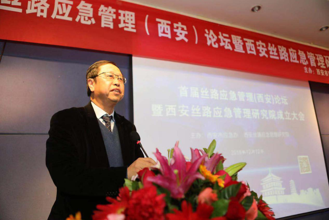 管理部常设专家,北京大学数字减灾与应急管理研究中心主任曲国胜教授