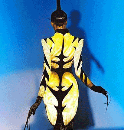 品鉴频道 生活品鉴(品) 生活品味 正文  naomi campbell, helena