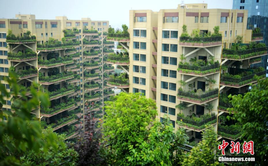成都"垂直森林"住宅小区郁郁葱葱