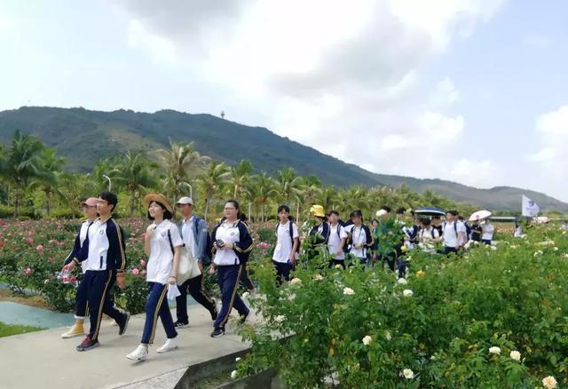 三亚研学旅行-三亚华侨学校探究热带玫瑰文化研学之旅