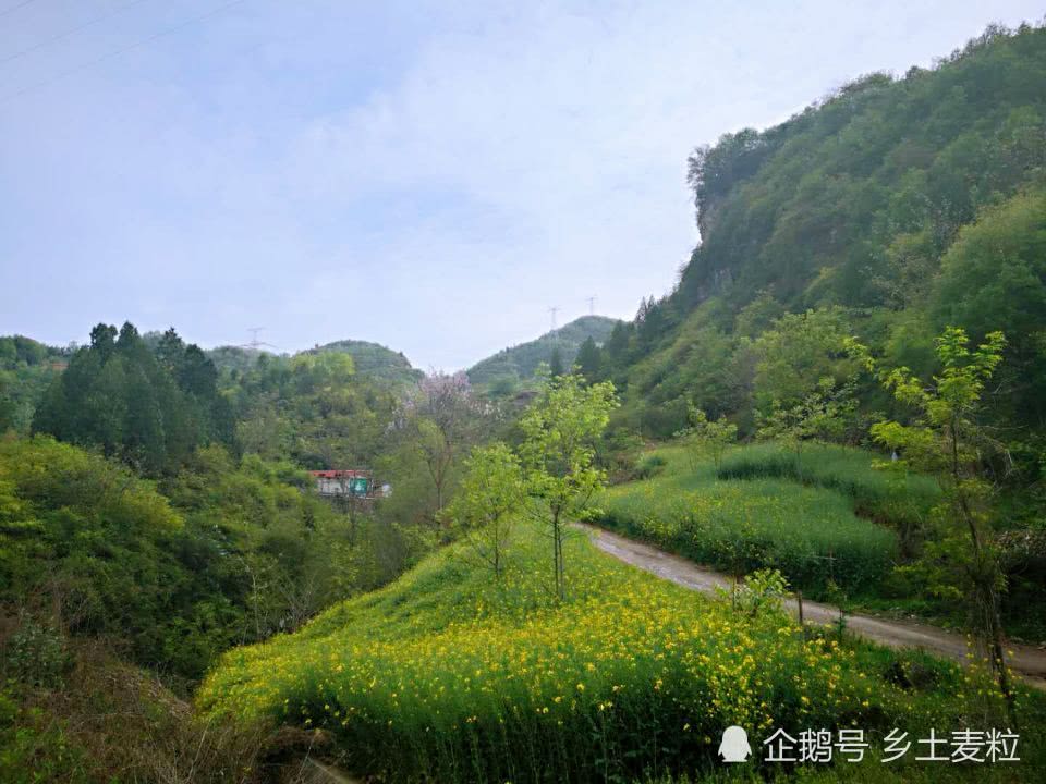 雨后的甘肃农村更美丽