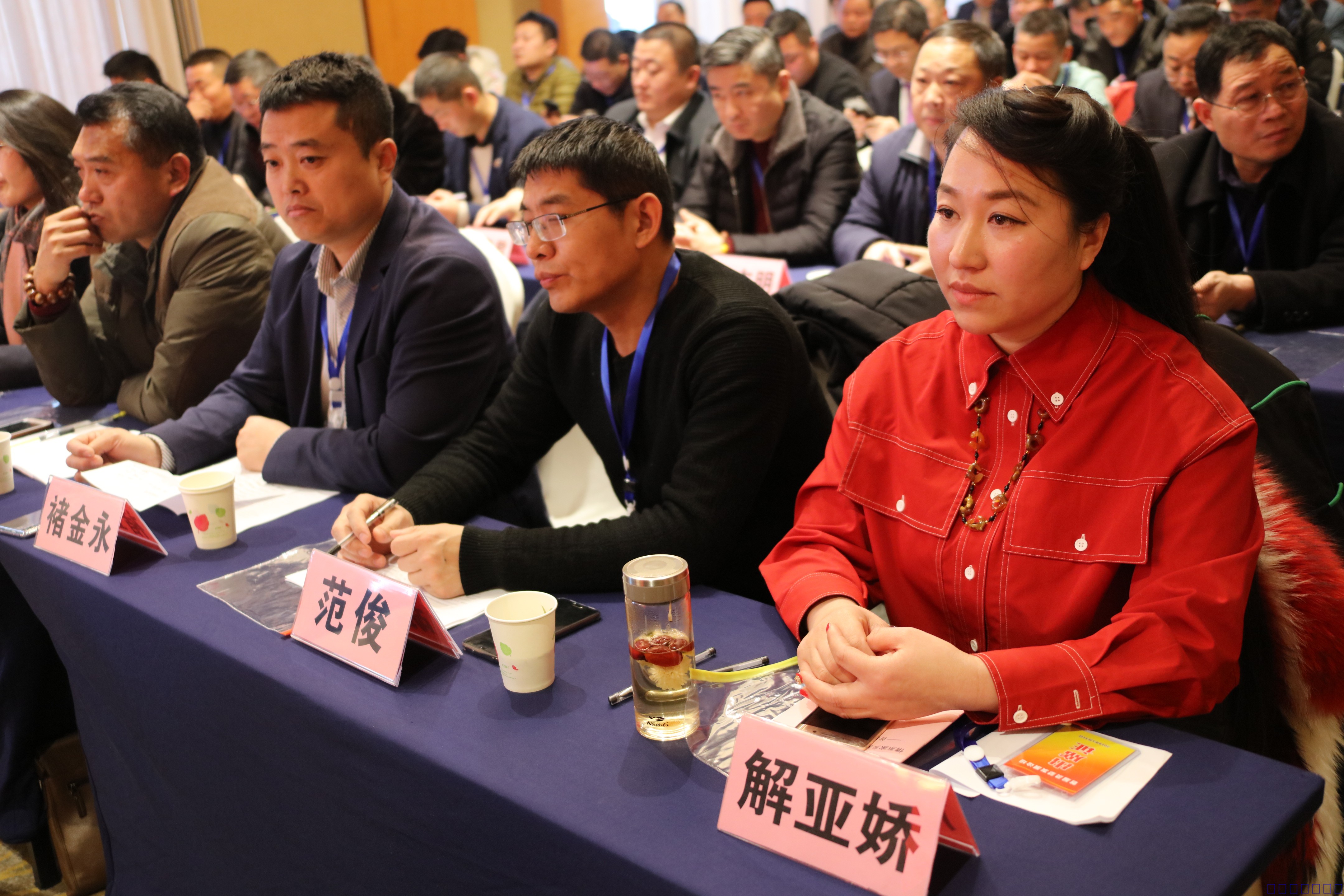 中国经贸文化网