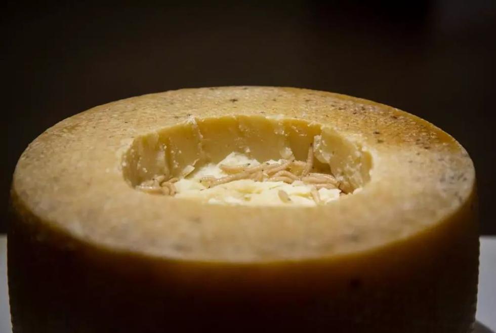 小编的新发现是这个宝藏——活蛆奶酪,同样来自撒丁岛.