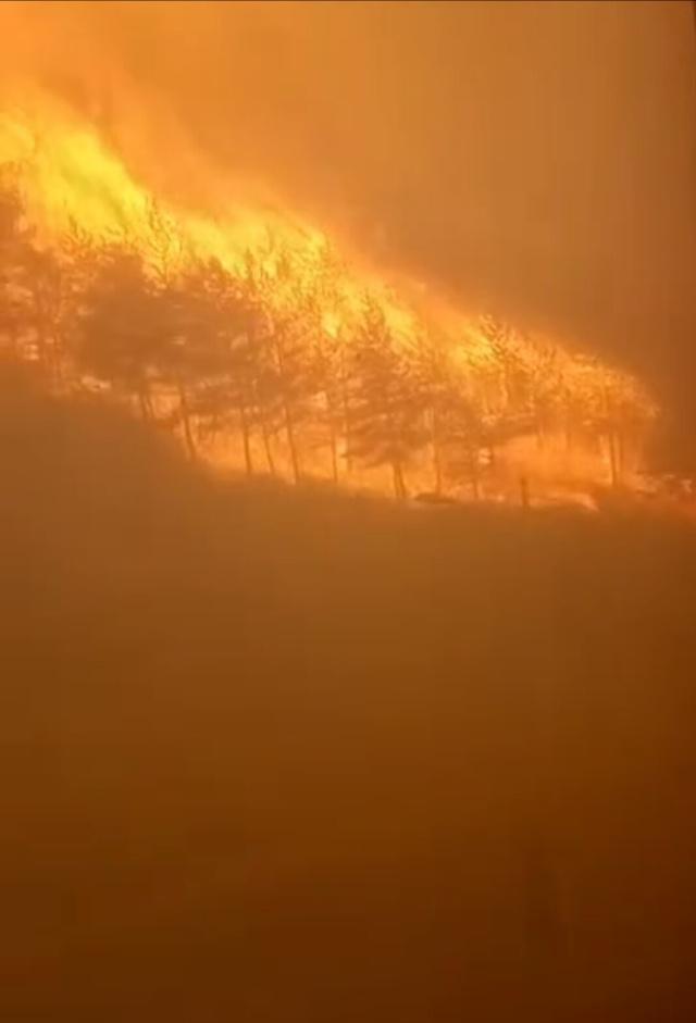 山西沁源再发森林大火 此前火灾致6名消防员遇难