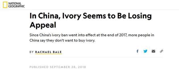 ���й���Щ�¶����й��˲������������ˣ���ý���й�ȫ���ó�������ӻ�������