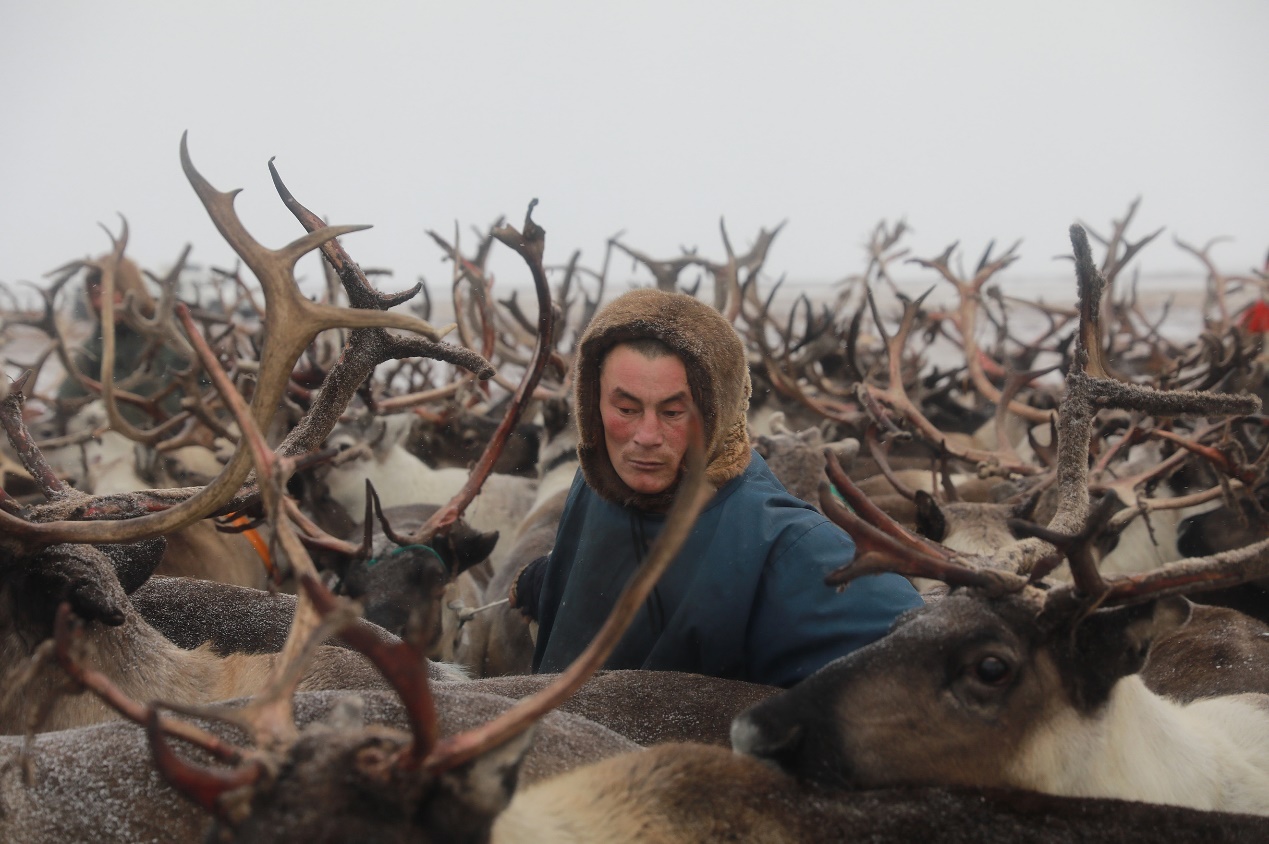 科技 互联网  正文 如今,奥力克生活在俄罗斯亚马尔-涅涅茨自治区首府