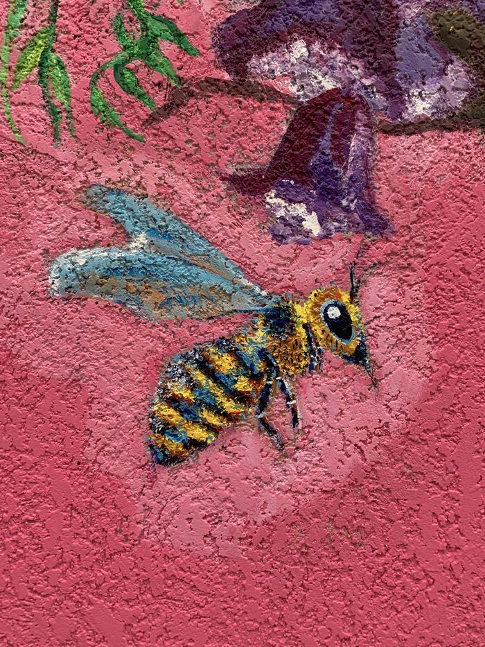 你会选谁?Pixel 3a和iPhone XR真机上手对比