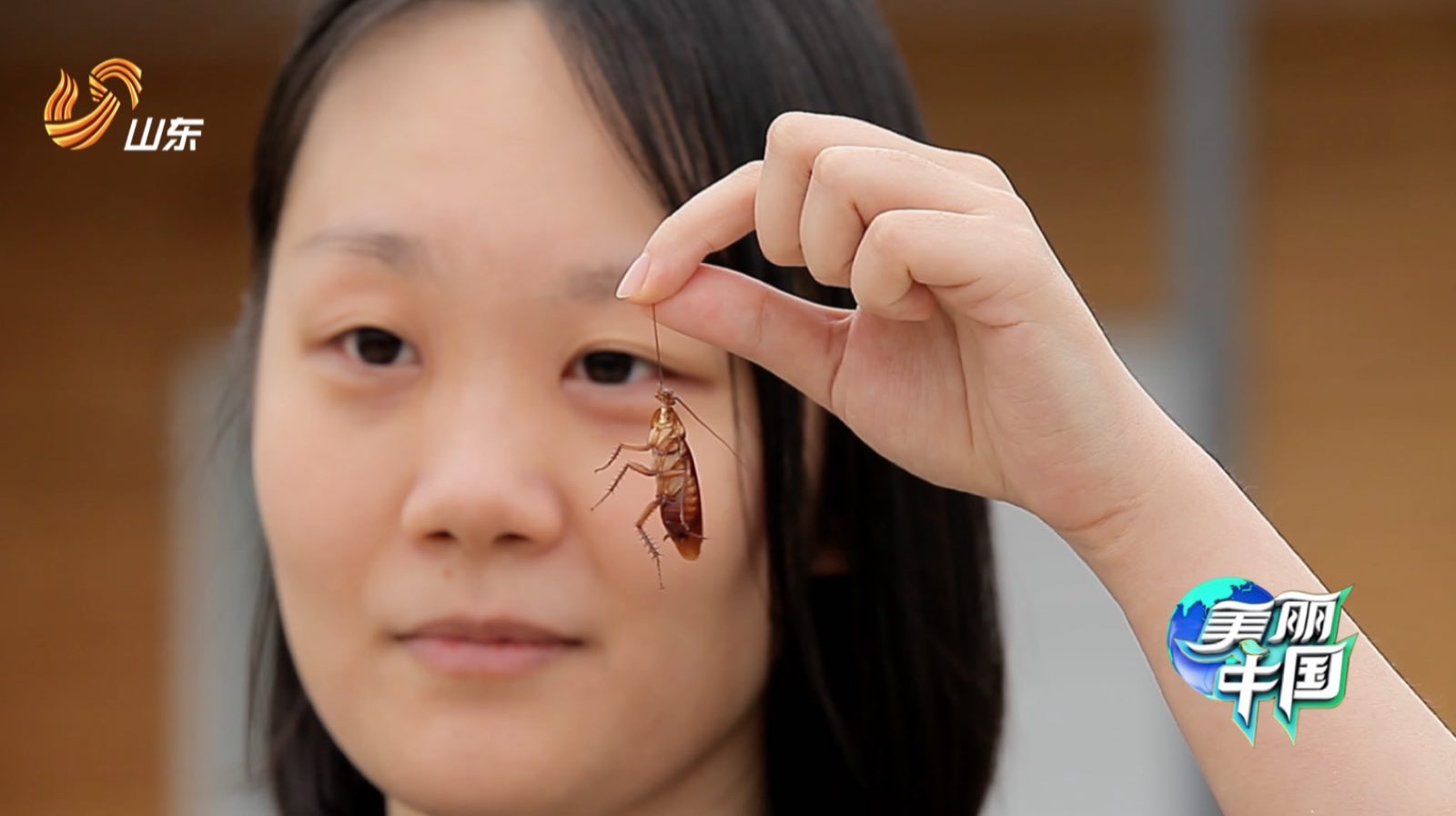 《美丽中国》父女养3亿只蟑螂 护林员劝女儿辞职守山