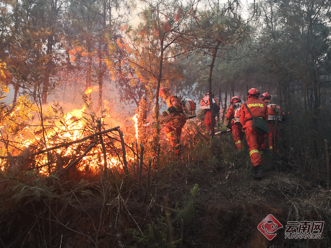 昆明龙池山山火仍在扑救 750余人已鏖战一夜