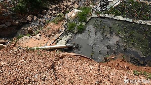 那平江东方广场附近简易人工湿地,湿地植物已死亡. 三,原因分析