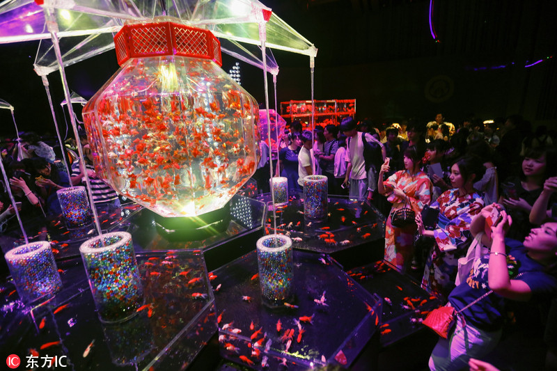 日本东京举办"艺术水族馆"8000条金鱼和锦鲤供人们观赏(视频)