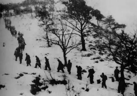 清明祭:从志愿军烈士回家之路到军人要走的路