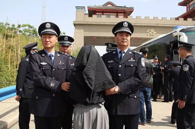 河南破特大荐股电诈案刑拘75人,扮美女引诱炒股"割韭菜"