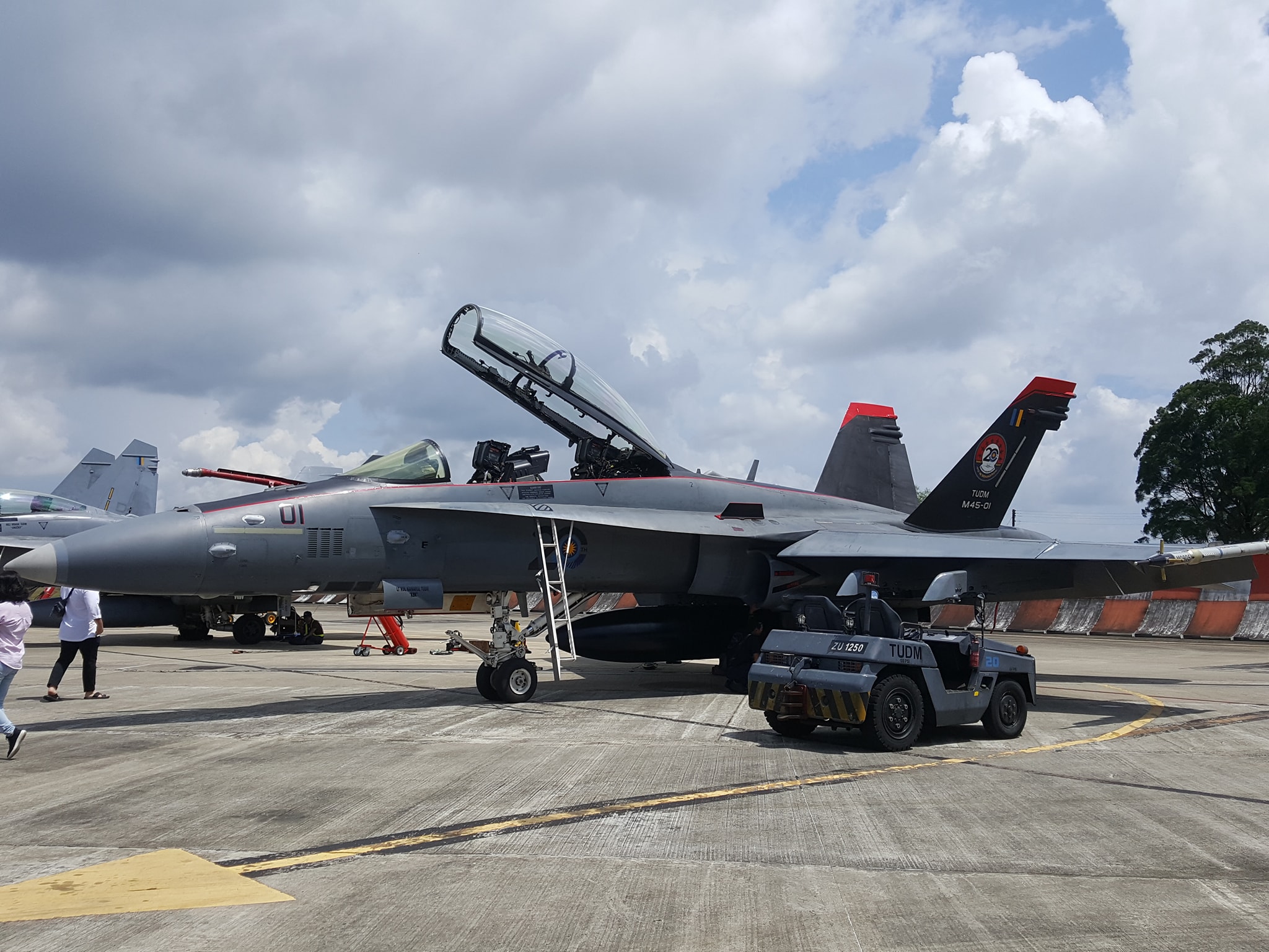 马来西亚空军举行盛大开放活动 主力装备尽出