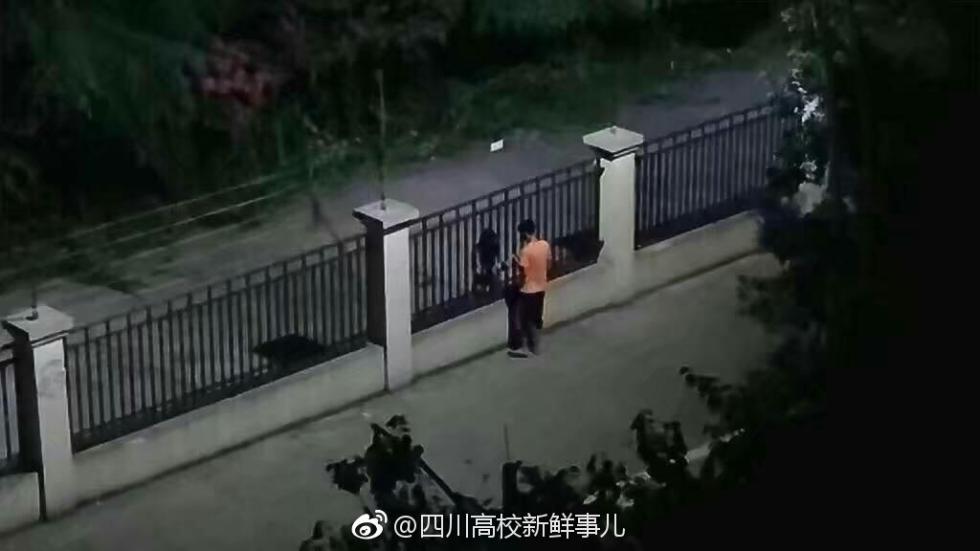 心酸的浪漫 成都两高校情侣隔着栅栏拥抱