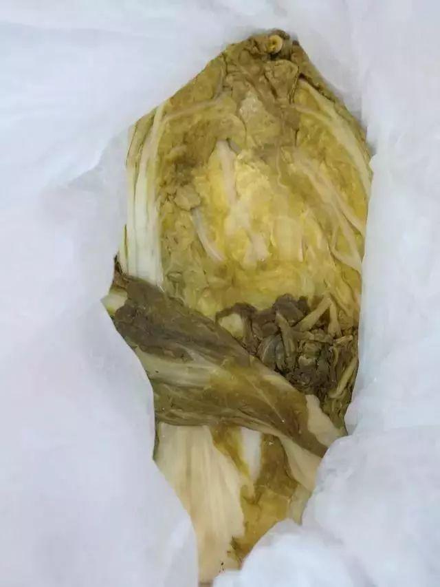 "我妈可能觉着我在外面会饿死!