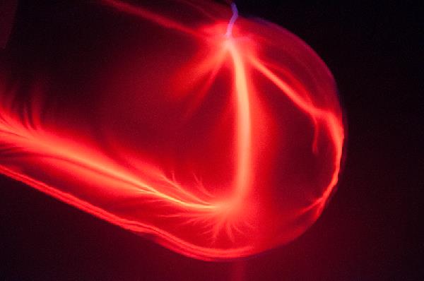 氖气在通电时发光.(网络图)