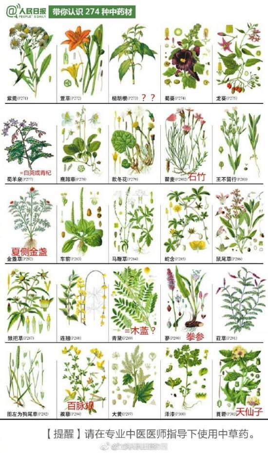 植物园"叫板"人民日报官微:274种中草药弄错30余种
