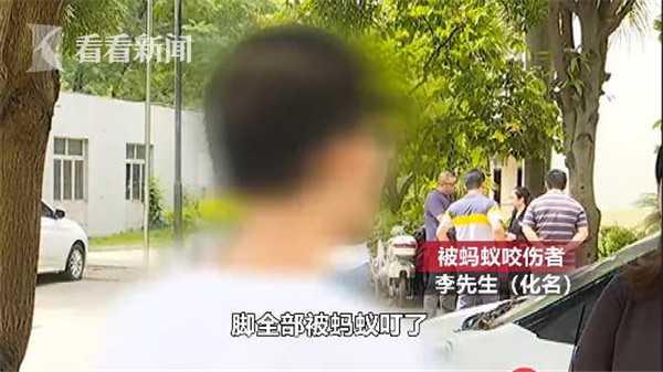 男子被虫蚁咬伤未及时就医 回家昏迷后不幸身
