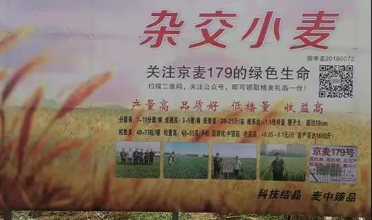 1528712981270268.jpg 02.jpg