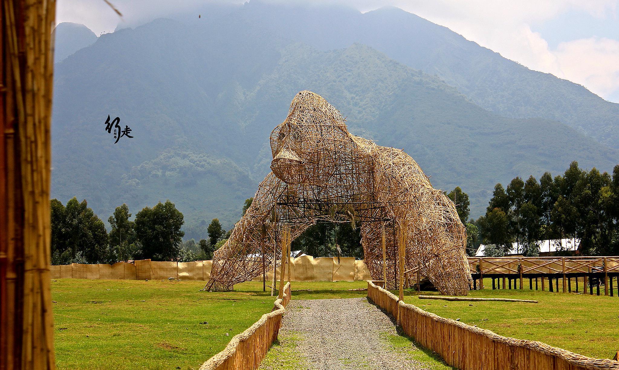 火山公园在地理上并非卢旺达一个国家所有,而是地处乌干达,刚果(金)